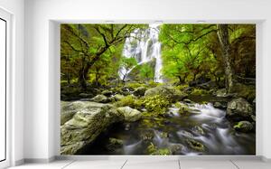 Gario Fototapeta Nádherný jarný vodopád Veľkosť: 268 x 100 cm, Materiál: Latexová
