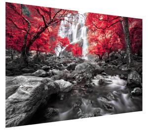 Gario Fototapeta Tajomný vodopád Veľkosť: 402 x 240 cm, Materiál: Latexová