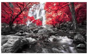 Gario Fototapeta Tajomný vodopád Veľkosť: 268 x 240 cm, Materiál: Latexová