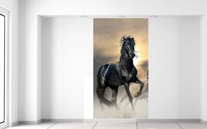 Fototapeta Nádherný čierny kôň Materiál: Samolepiaca, Veľkosť: 110 x 200 cm