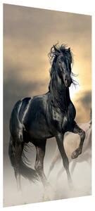 Gario Fototapeta Nádherný čierny kôň Veľkosť: 110 x 200 cm, Materiál: Latexová