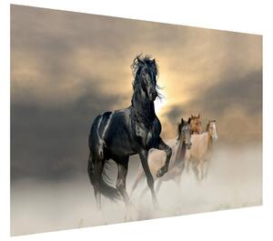Fototapeta Nádherný čierny kôň Materiál: Samolepiaca, Rozmery: 150 x 200 cm