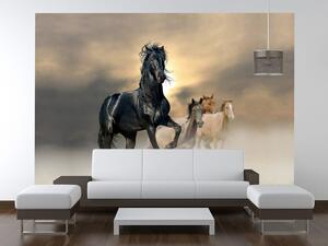 Fototapeta Nádherný čierny kôň Materiál: Samolepiaca, Rozmery: 200 x 135 cm