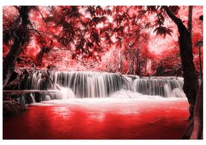 Gario Fototapeta Vodopád v červenej džungli Veľkosť: 268 x 240 cm, Materiál: Latexová