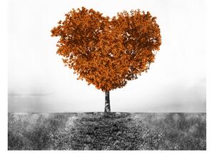 Gario Fototapeta Hnedý strom lásky Veľkosť: 402 x 240 cm, Materiál: Latexová