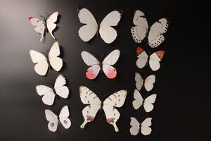 Veselá Stena Farebné 3D Motýliky Biele