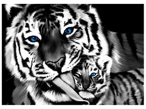Gario Fototapeta Čiernobiely tiger a tigrík Veľkosť: 268 x 240 cm, Materiál: Latexová