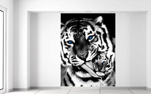 Fototapeta Čiernobiely tiger a tigrík Materiál: Samolepiaca, Veľkosť: 150 x 200 cm