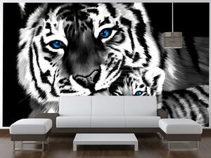 Fototapeta Čiernobiely tiger a tigrík Materiál: Samolepiaca, Rozmery: 268 x 240 cm
