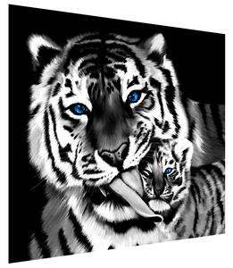 Fototapeta Čiernobiely tiger a tigrík Materiál: Samolepiaca, Rozmery: 200 x 150 cm