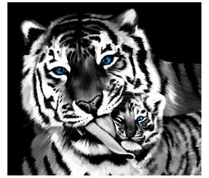 Gario Fototapeta Čiernobiely tiger a tigrík Veľkosť: 268 x 240 cm, Materiál: Latexová