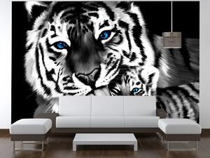 Fototapeta Čiernobiely tiger a tigrík Materiál: Samolepiaca, Rozmery: 268 x 240 cm