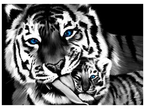 Gario Fototapeta Čiernobiely tiger a tigrík Veľkosť: 150 x 200 cm, Materiál: Latexová