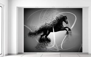Fototapeta Čiernobiely kôň - Jakub Banas Materiál: Samolepiaca, Veľkosť: 200 x 150 cm