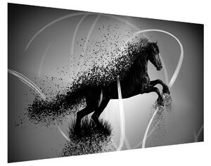 Gario Fototapeta Čiernobiely kôň - Jakub Banas Veľkosť: 402 x 240 cm, Materiál: Latexová