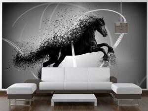 Gario Fototapeta Čiernobiely kôň - Jakub Banas Veľkosť: 536 x 240 cm, Materiál: Latexová