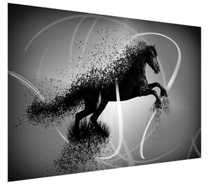 Gario Fototapeta Čiernobiely kôň - Jakub Banas Veľkosť: 536 x 240 cm, Materiál: Latexová