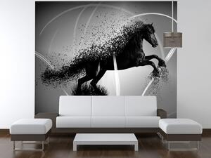 Fototapeta Čiernobiely kôň - Jakub Banas Materiál: Samolepiaca, Rozmery: 200 x 150 cm