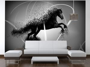 Fototapeta Čiernobiely kôň - Jakub Banas Materiál: Samolepiaca, Rozmery: 536 x 240 cm