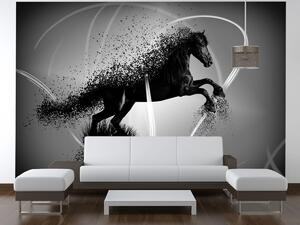Gario Fototapeta Čiernobiely kôň - Jakub Banas Veľkosť: 200 x 150 cm, Materiál: Latexová