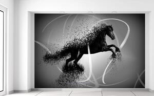 Gario Fototapeta Čiernobiely kôň - Jakub Banas Veľkosť: 402 x 240 cm, Materiál: Latexová