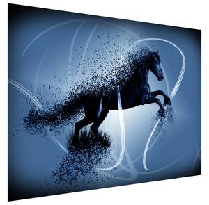 Gario Fototapeta Modrý kôň - Jakub Banas Veľkosť: 268 x 240 cm, Materiál: Latexová