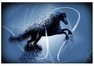 Gario Fototapeta Modrý kôň - Jakub Banas Veľkosť: 536 x 240 cm, Materiál: Latexová