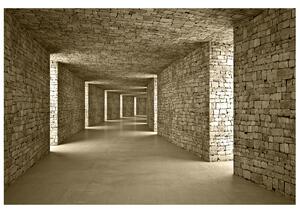 Gario Fototapeta Kamenný tunel Veľkosť: 268 x 100 cm, Materiál: Latexová