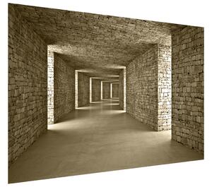 Gario Fototapeta Kamenný tunel Veľkosť: 268 x 100 cm, Materiál: Latexová