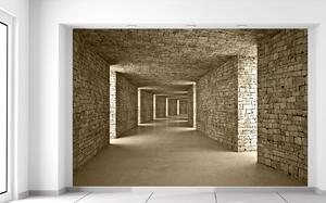 Gario Fototapeta Kamenný tunel Veľkosť: 268 x 240 cm, Materiál: Latexová