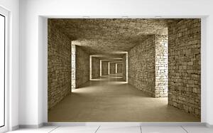 Gario Fototapeta Kamenný tunel Veľkosť: 150 x 200 cm, Materiál: Latexová