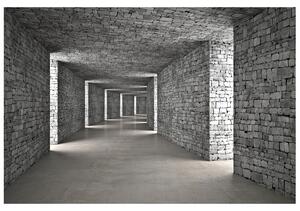 Gario Fototapeta Sivý kamenný tunel Veľkosť: 200 x 150 cm, Materiál: Latexová