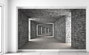 Fototapeta Sivý kamenný tunel Materiál: Vliesová, Veľkosť: 402 x 240 cm