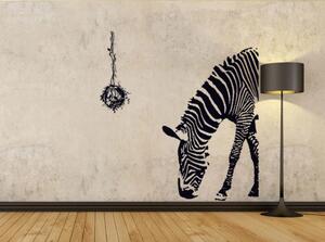 Veselá Stena Samolepka na stenu Zebra