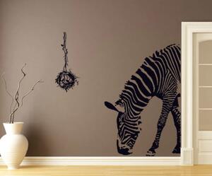 Veselá Stena Samolepka na stenu Zebra