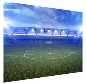 Gario Fototapeta Futbalový štadión Veľkosť: 95 x 205 cm, Materiál: Latexová