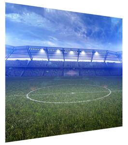Gario Fototapeta Futbalový štadión Veľkosť: 268 x 240 cm, Materiál: Latexová