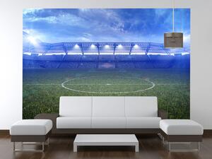 Gario Fototapeta Futbalový štadión Veľkosť: 268 x 240 cm, Materiál: Latexová