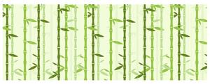 Gario Fototapeta Bambusový motív Veľkosť: 150 x 200 cm, Materiál: Latexová