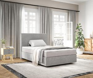 DELIFE Boxspring posteľ Dream-Well 120x200 cm manšester strieborno sivá s vreckovou pružinovou matracou a visco topperom