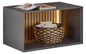 REGÁLOVÝ DIEL, dub, antracitová, farba duba, 80/44/50 cm Dieter Knoll - TV nábytok