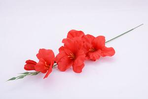 Umelé kvety GLADIOLA červená