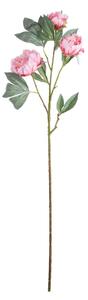 FLORISTA Pivonka 90 cm - ružová