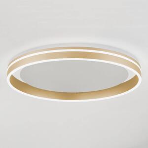 Paul Neuhaus Q-VITO LED stropné svietidlo, Ø 60 cm, Mosadz / zlato, Obývacia izba / jedáleň, kov, Moderný, Závesné svietidlo