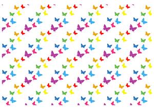 Gario Fototapeta Farebné motýle Veľkosť: 110 x 200 cm, Materiál: Latexová