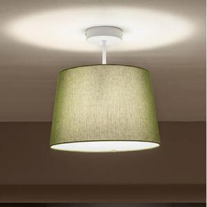 Brilagi - LED prisadený luster CERIA 1xE27/60W/230V pr. 30 cm biela/zelená
