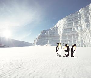 Fototapeta na zeď- Ledovec, tučňáci 364145, Wallpower Junior, Eijffinger