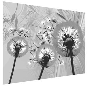 Gario Fototapeta Čiernobiele púpavy Veľkosť: 200 x 135 cm, Materiál: Latexová