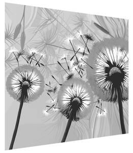 Gario Fototapeta Čiernobiele púpavy Veľkosť: 268 x 240 cm, Materiál: Vliesová
