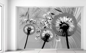 Gario Fototapeta Čiernobiele púpavy Veľkosť: 200 x 150 cm, Materiál: Latexová